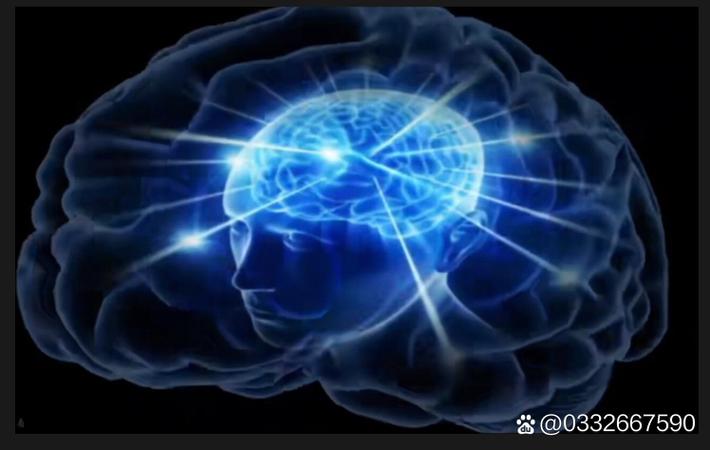 最新黑料 - 顶流男星深夜被拍到与神秘女子共进晚餐，经纪公司紧急发声明否认恋情